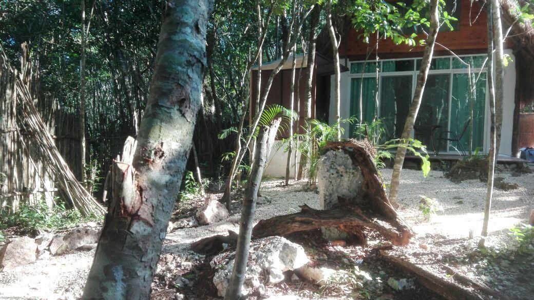 Cabanas La Felicidad Hotel Tulum Exterior foto